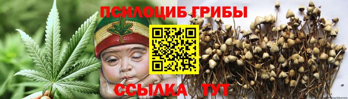 Псилоцибиновые грибы ЛСД Казань