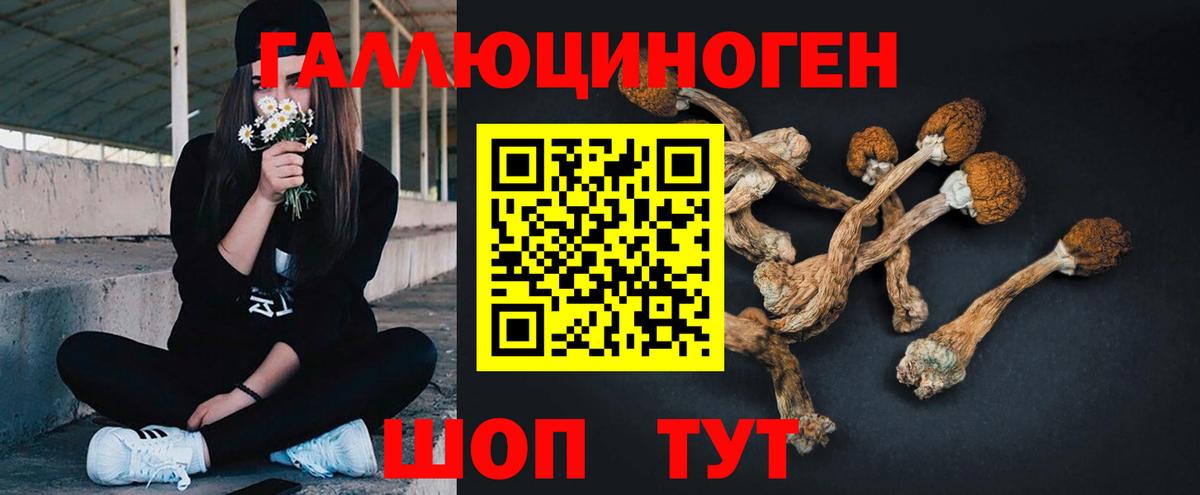 Меф   Вход с VPN  COCAIN  КОКАИН  МЕТ  Гашиш  АМФЕТАМИН кристаллы  Казань  Экстази  Наркошоп  Каннабис 