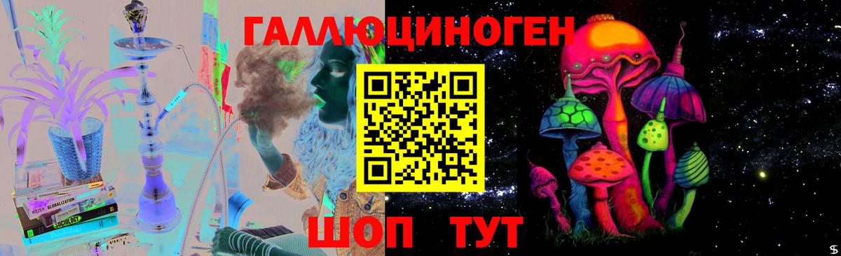 Псилоцибиновые грибы Psilocybine cubensis  Вход с VPN  Казань  Галлюциногенные грибы прущие грибы 
